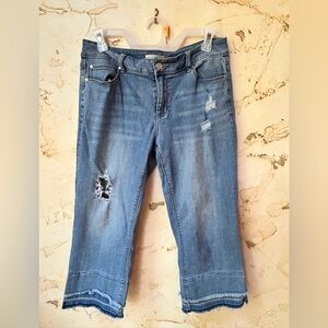 Distressed Blue Capri Jeans Cato Size 8 Stretch Cropped